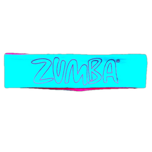 Zumba Fitness "Feel The Music" Blue/Pink Reversible Headband - NWT